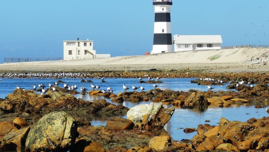 Cape Recife Lighthouse