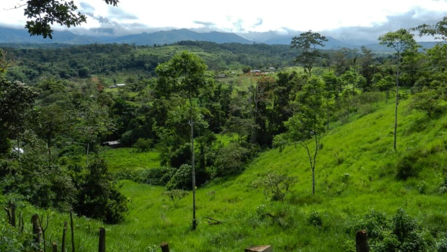 Tena