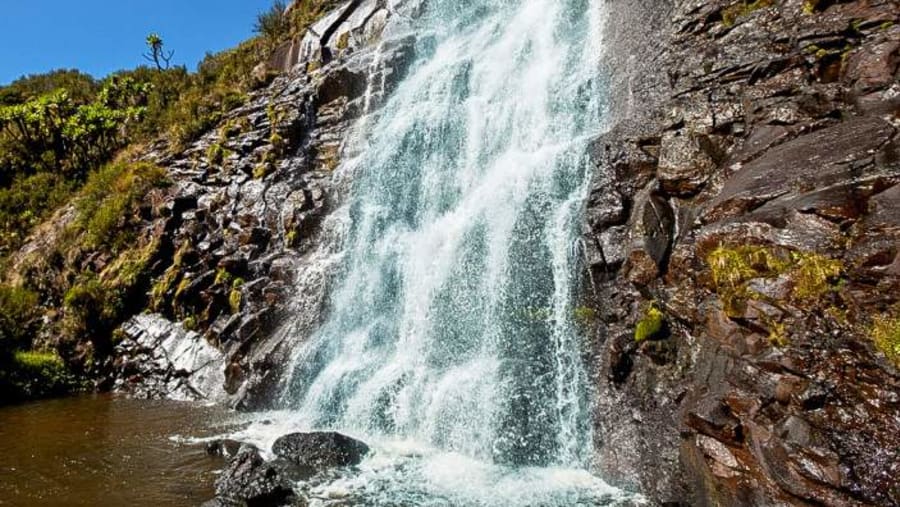 Admire the Waterfalls