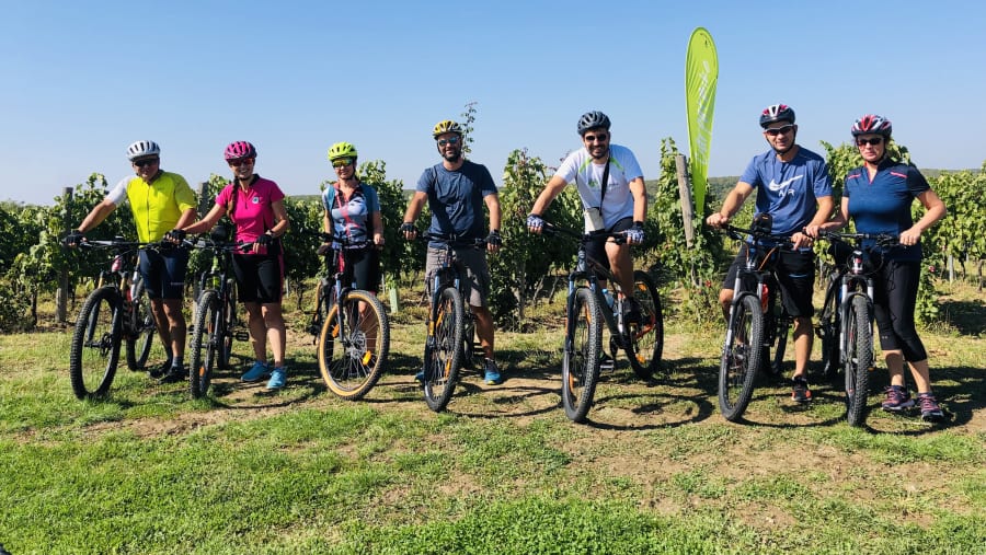 Travellers with cycles