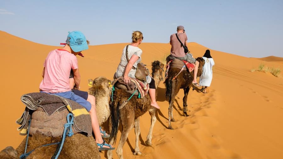 Camel Ride in Sahara Desert of Merzouga
