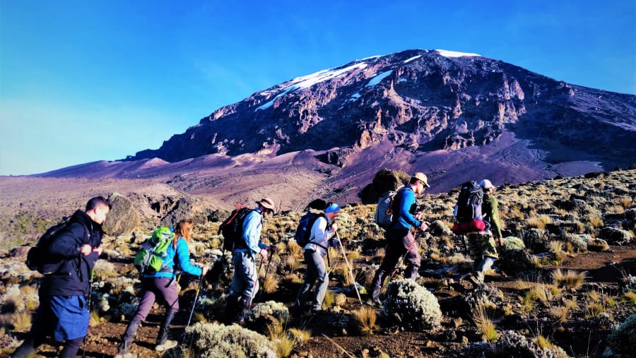 Trekkers led by Linus departing from Karanga camp to Barafu camp - Feb 2020
