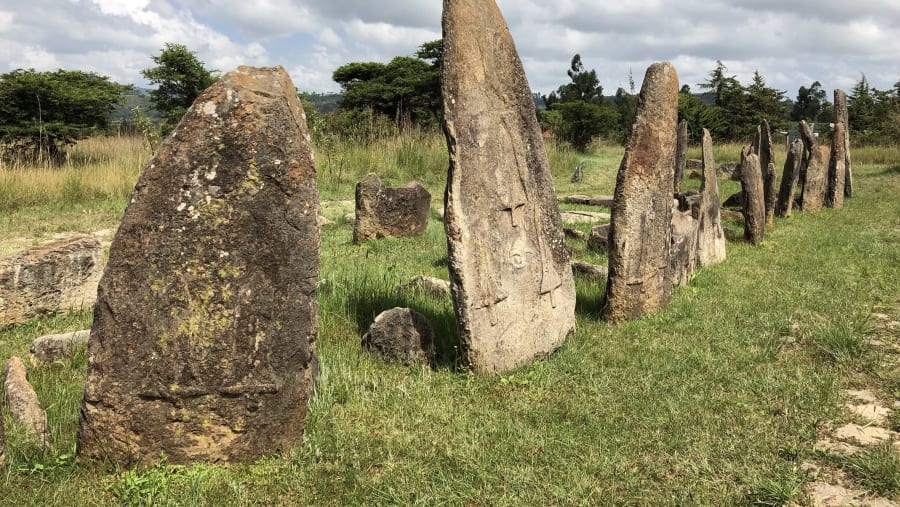 Tiya Stelae Field