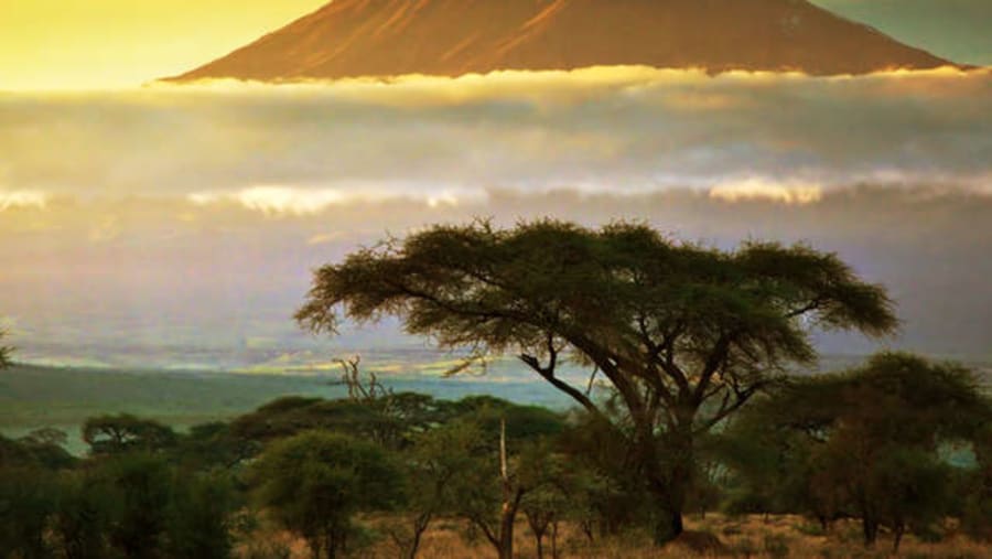 Scenic View of Mount Kilimanjaro