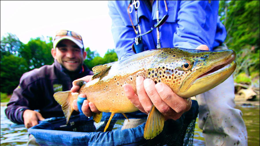 Tourists Fishing Trophy Trouts