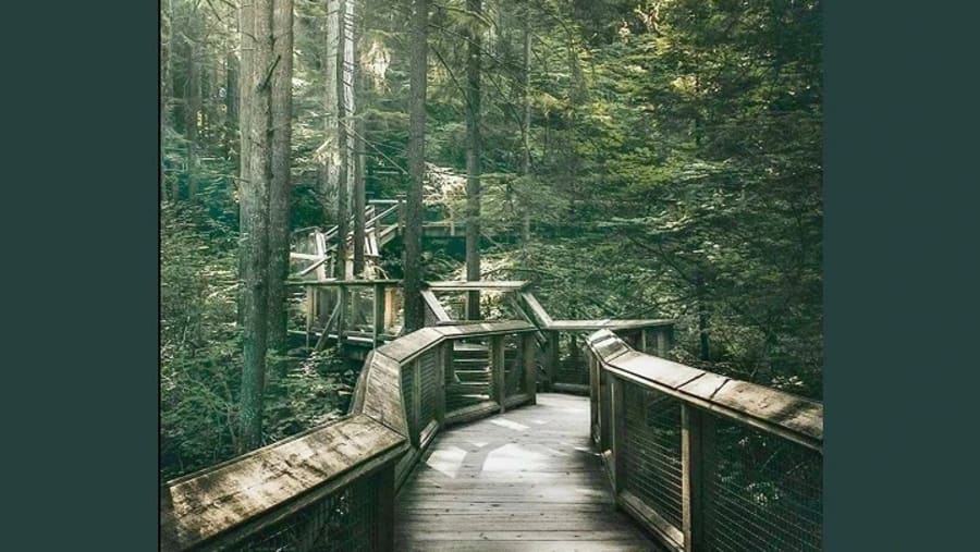 Capilano Suspension Bridge Park