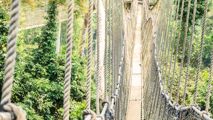 KAKUM NATIONAL PARK & CAPE COAST CASTLE