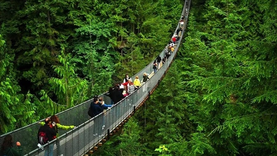 Capilano Suspension Bridge Park