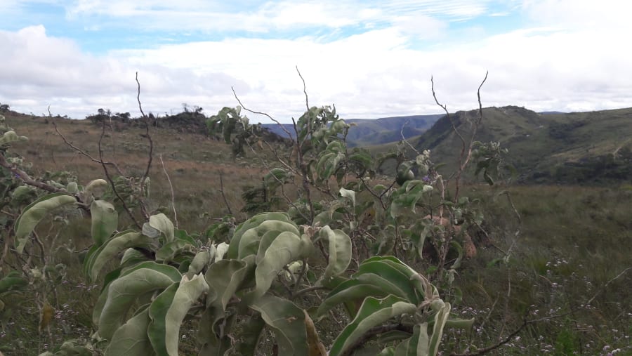 Serra da Calçada