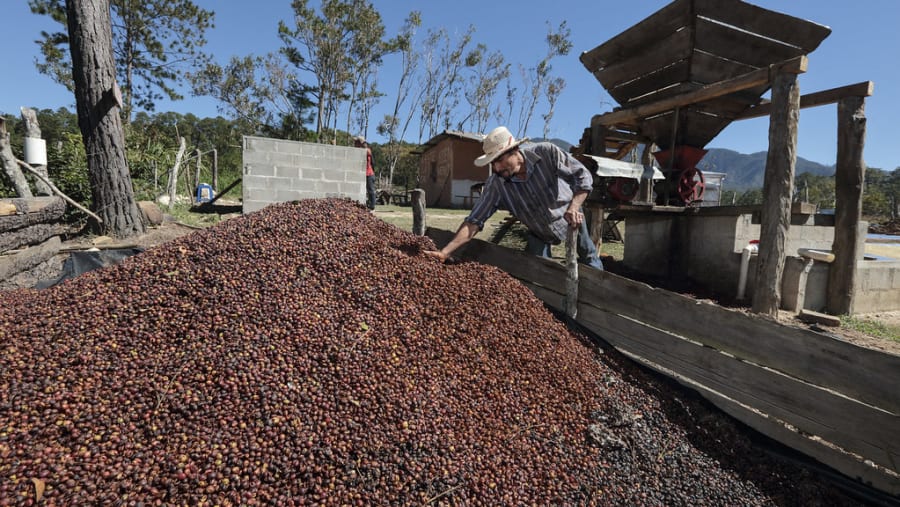 Coffee Char, Nature, Flavor, and Tradition in Quindío