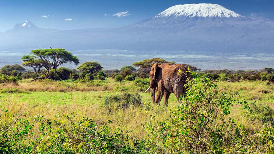 Mount Kilimanjaro National Park