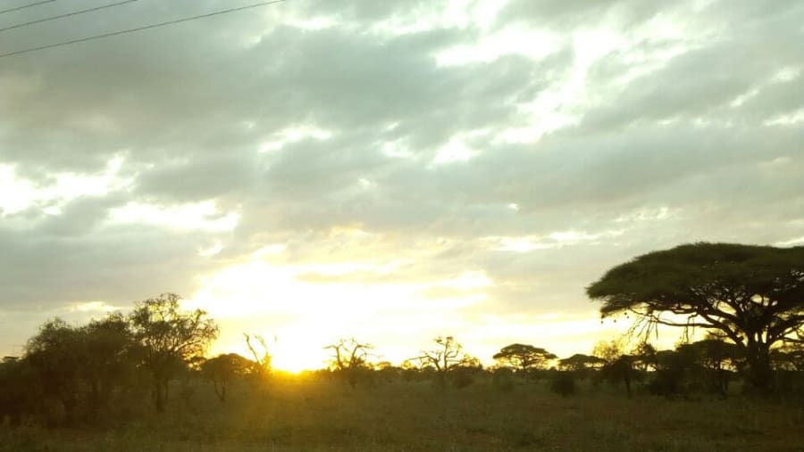Sunset View