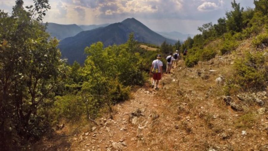 Trek Down