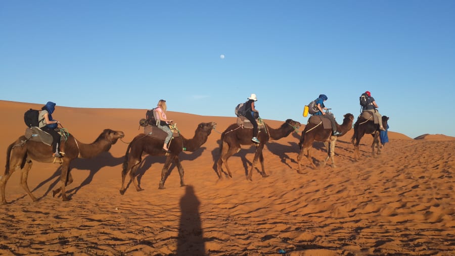 Desert Safari in Erg Chebbi