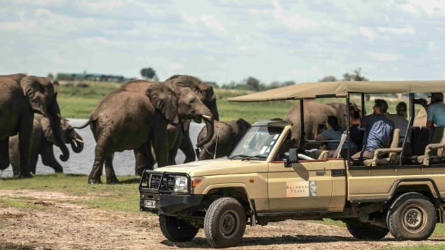 Chobe National Park
