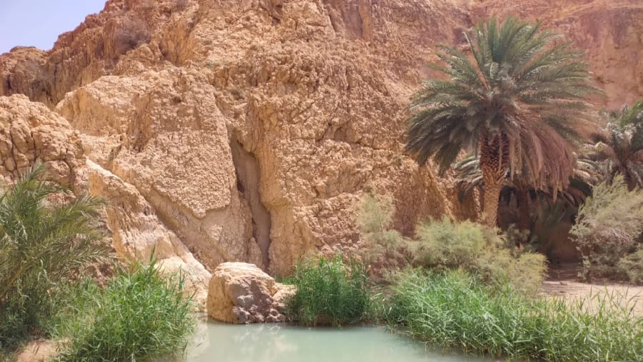 Visit Sahara