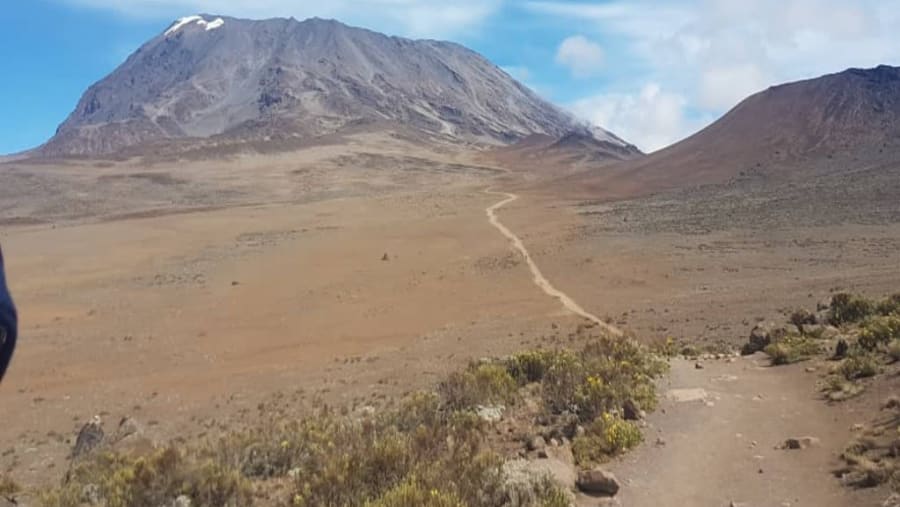 Kilimanjaro