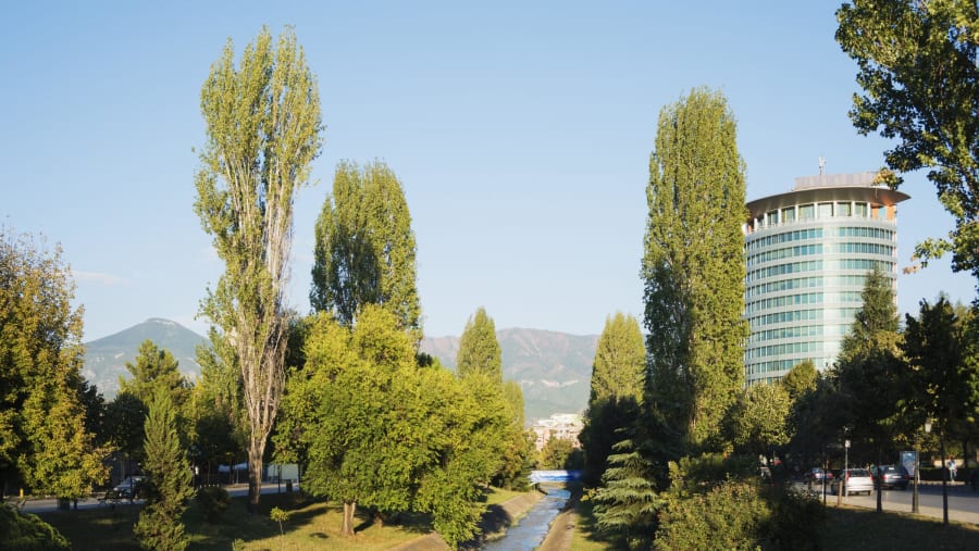 Green Landscape