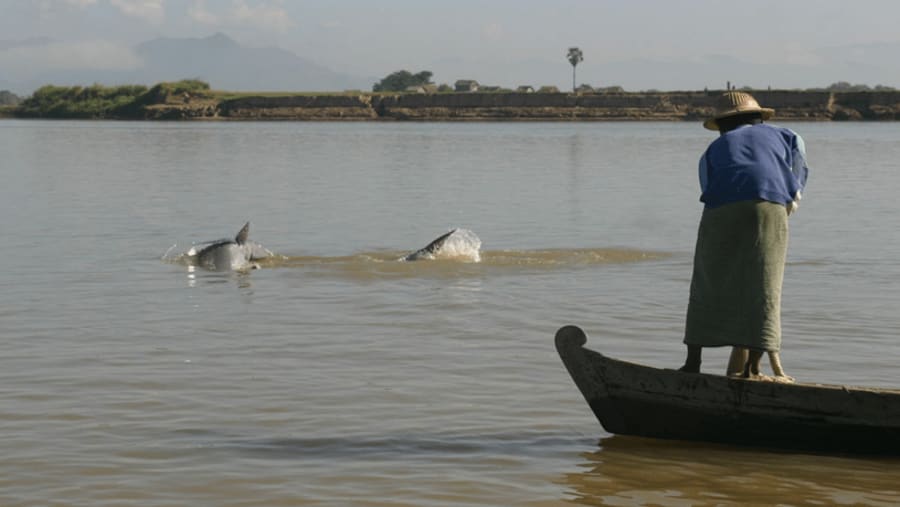 Cooperative fishing