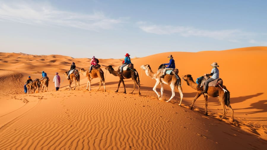 Camel Ride