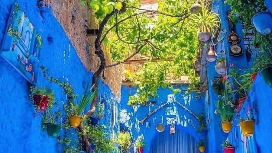 Chefchaouen blue Pearl