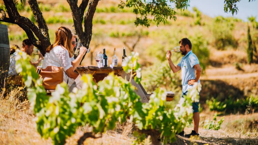Wine tasting in Priorat
