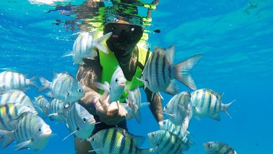 Snorkelling