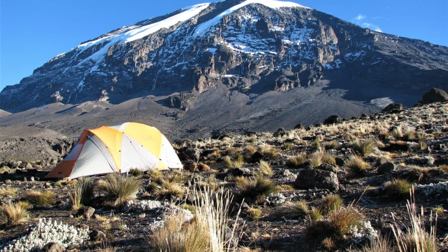 Camping at Kilimanjaro