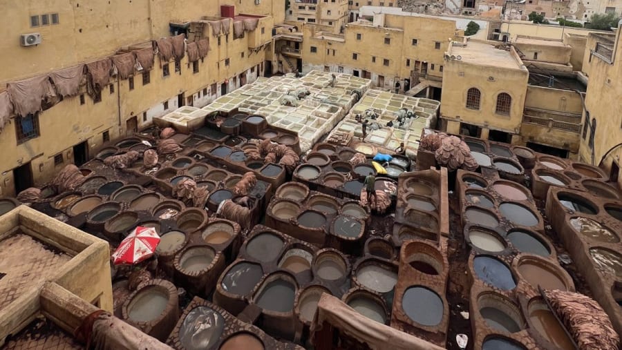 Chouara Tannery in Fez