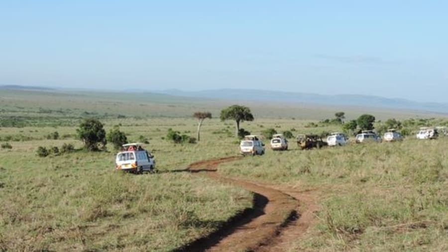 Small Group Adventure Safaris,Active Travel,Epic Active AdventuresYHA Kenya TravelEpic Tours SafarisWildlife SafarisSafari BookingsMasai Mara Kenya SafariActive Holidays in KenyaAfrican Safari,The Big Five Animals.