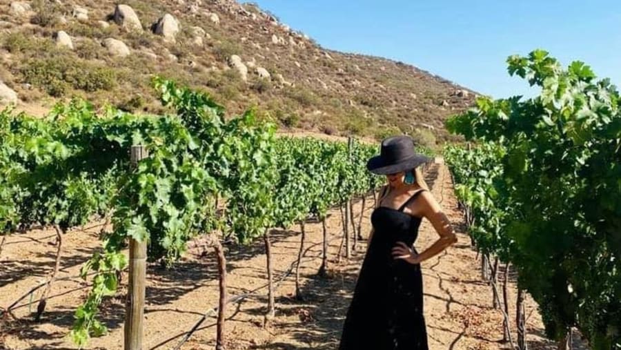 Valle de Guadalupe Wine