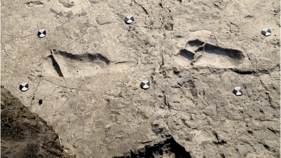 Unveil Olduvai Gorge