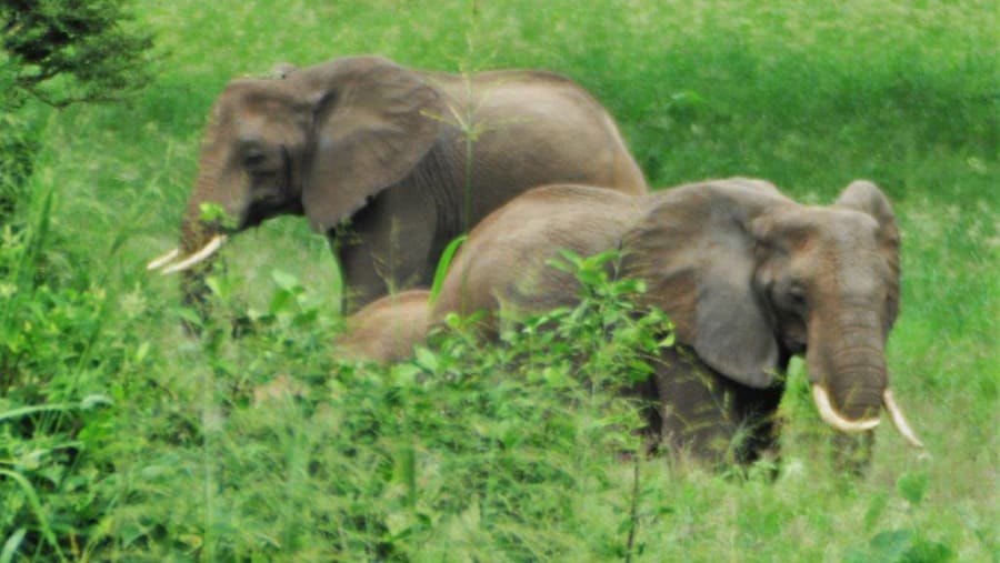 Tarangire National Park