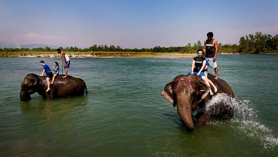 Elephant Breeding Center in Chitwan National Park