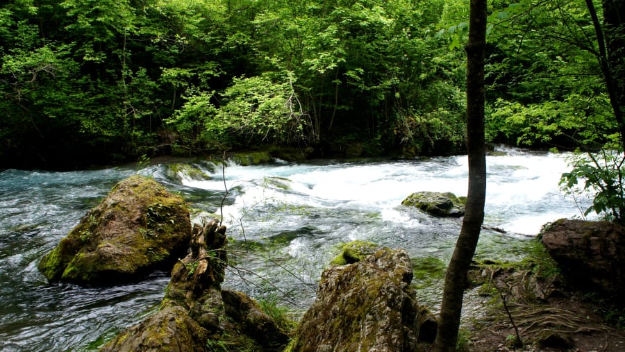 Natural landscape around White Drin Waterfall