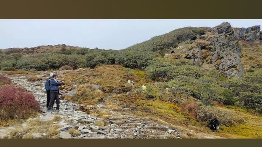 Peaky peak trek