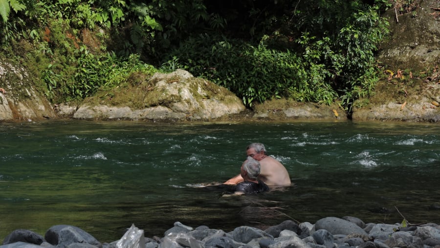 Explore the tropical rainforest
