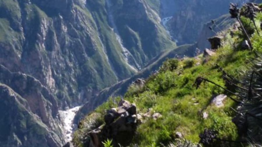 Colca Canyon