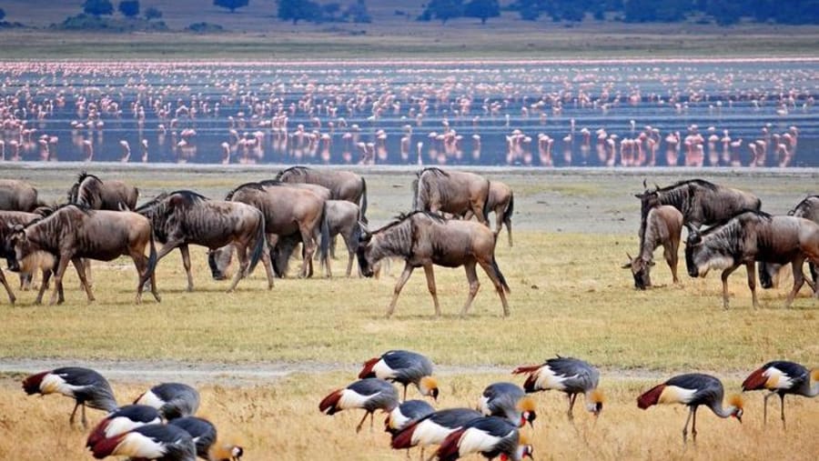 Lake Manyara National Park