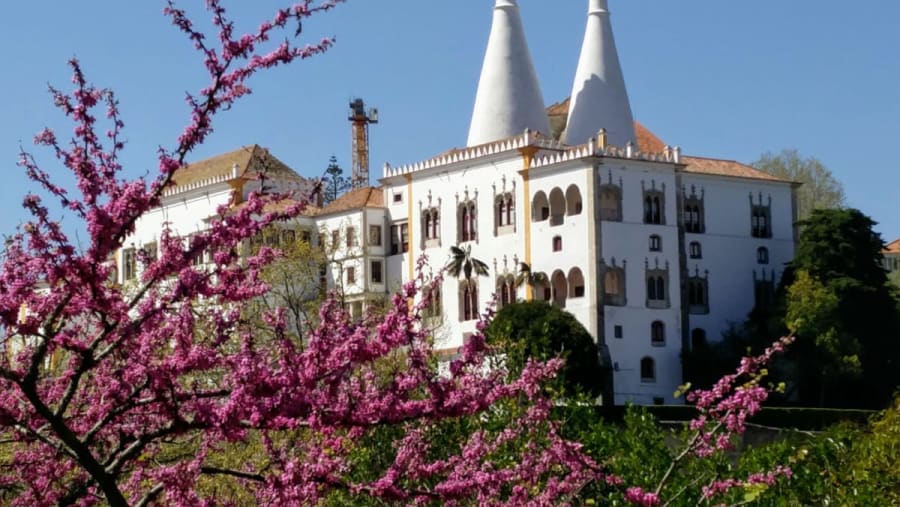 Day trip from Lisbon to Sintra