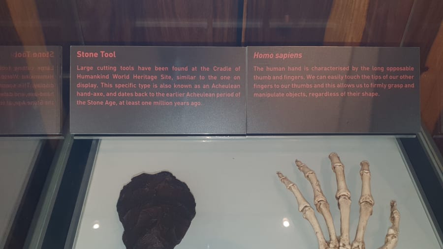 Pre-historic evidences