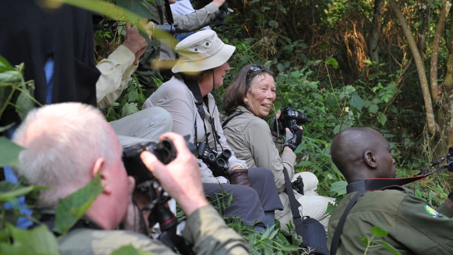 Gorilla Tracking in  Bwindi Impenetrable National Park