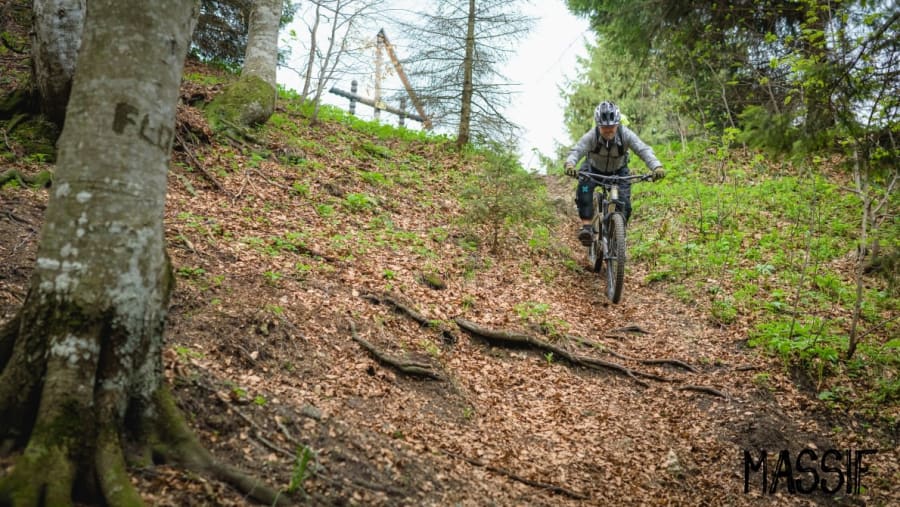 Postavaru Mountain Bike Ride