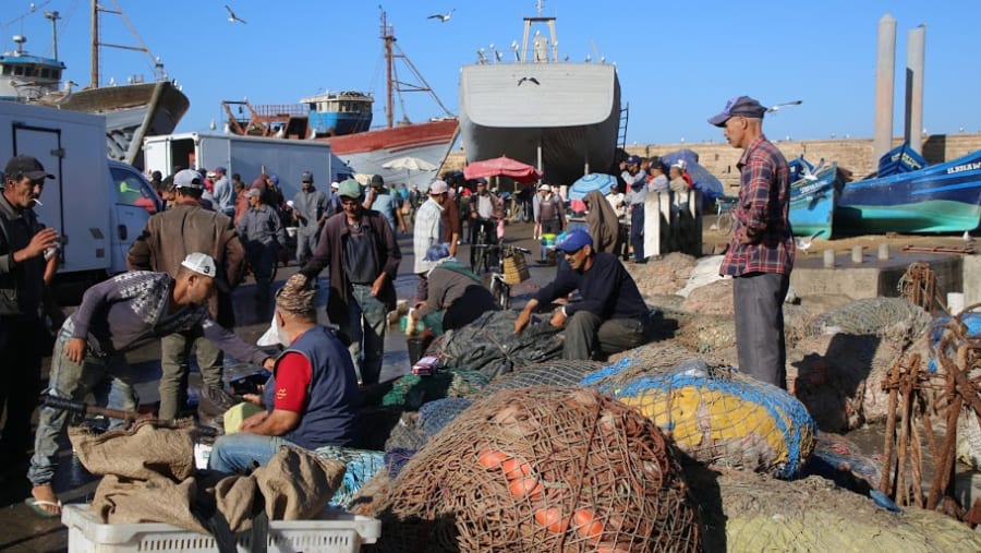 The busy portside