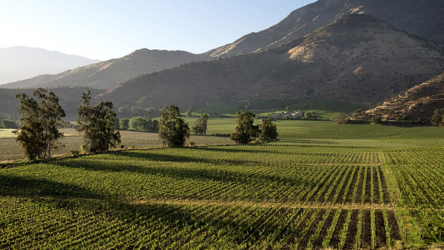 Maipo Valley