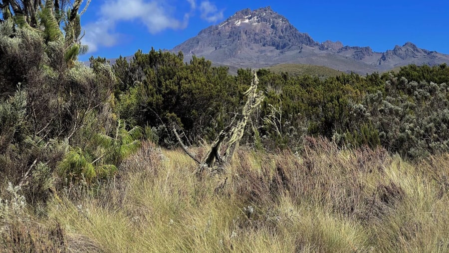 Kilimanjaro Trekking