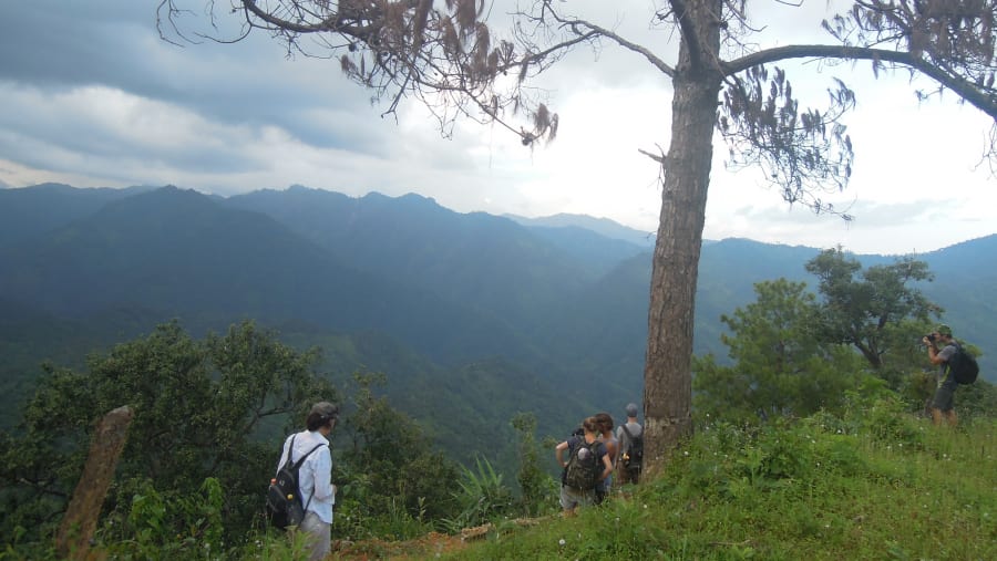 View of the mountain