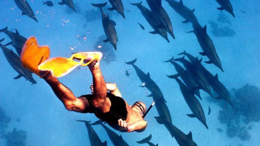 Snorkelling in Sharm el Sheikh