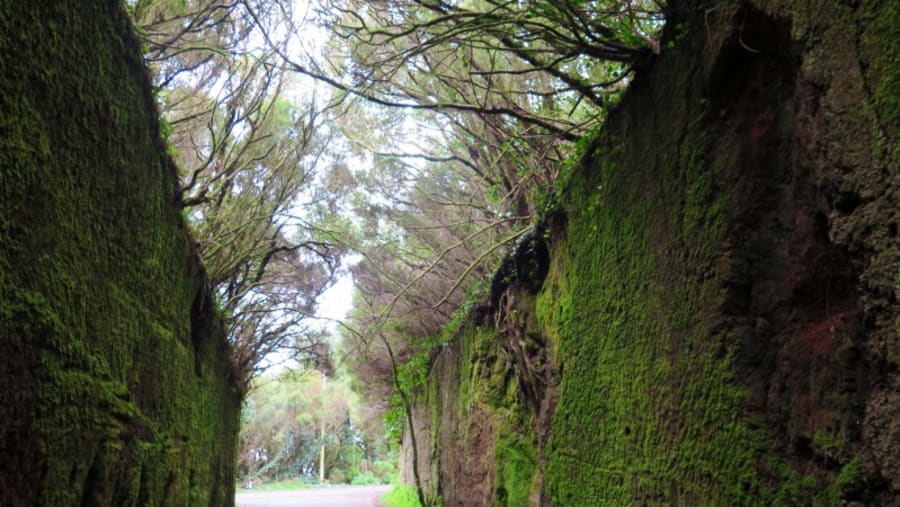 Anaga Biosphere Reserve