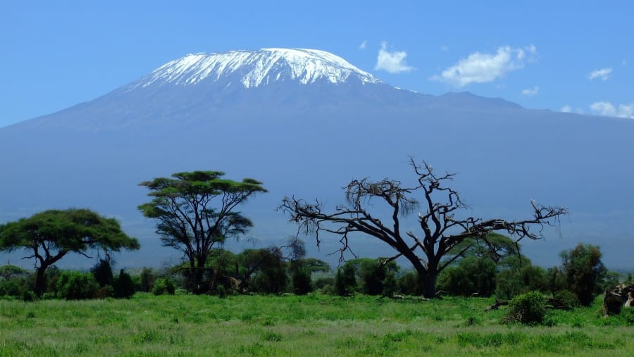 Admire the view of Mt. Kilimanjaro from Amboseli